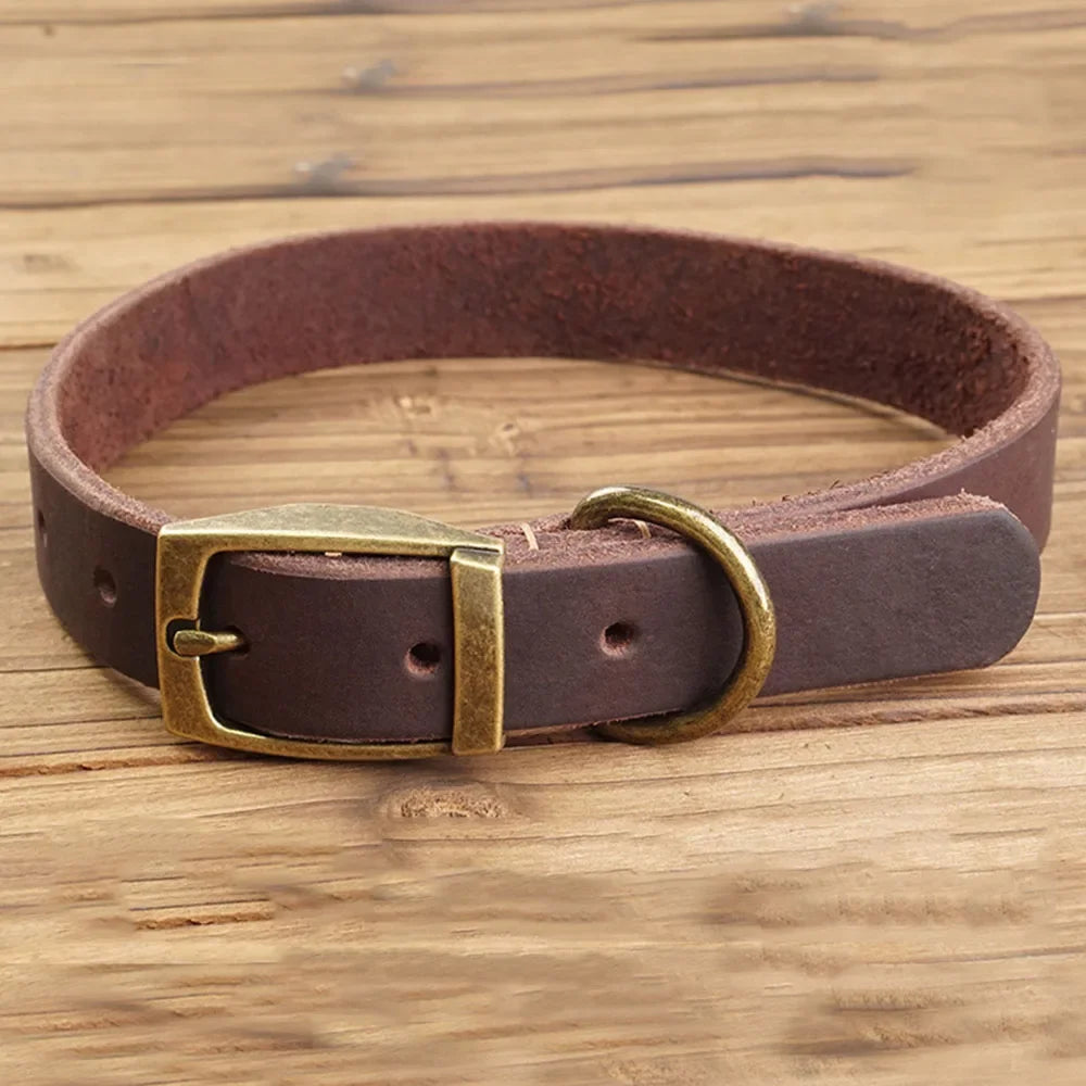 Chocolate brown genuine leather pet collar with metal buckle, adjustable strap, and pet-friendly design by Pet Panache Boutique.