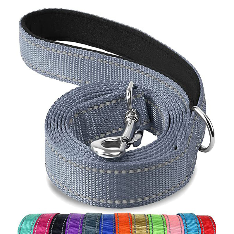 Multicolor pet nylon leashes in various vibrant colors with durable metal clasp and comfortable design