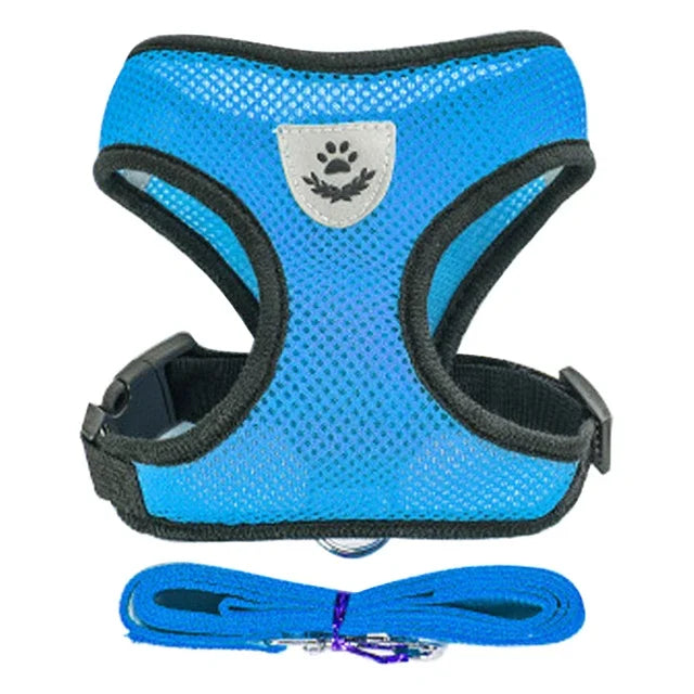Blue breathable mesh pet harness with matching leash and paw print detail for secure and comfortable walks.
