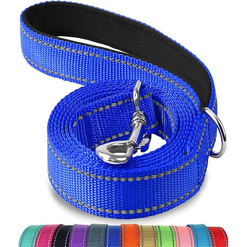 Multicolor pet nylon leashes with durable stitching and metal clasp