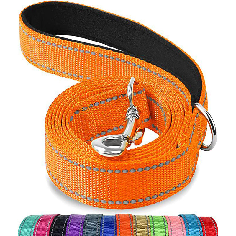 Multicolor pet nylon leash with reflective stitching and metal clasp in vibrant orange
