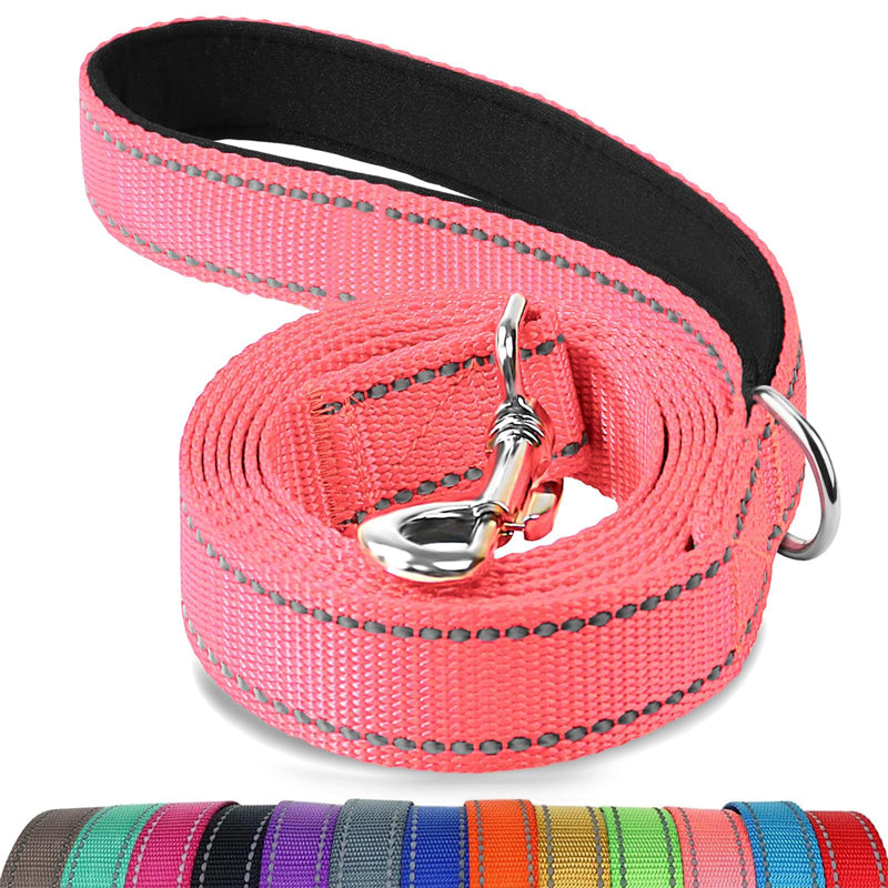 Multicolor pet nylon leashes with durable stitching and metal clasp in various vibrant colors