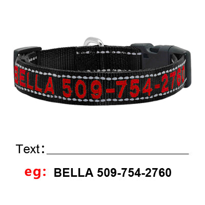 Personalized Nylon Pet Collars - Pet Panache Boutique