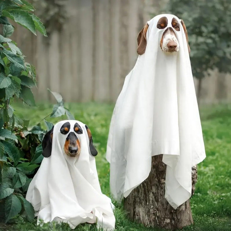 Ghost Pet Costume - Pet Panache Boutique