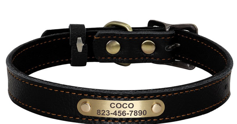 Personalized Black Leather Pet Collar - Pet Panache Boutique