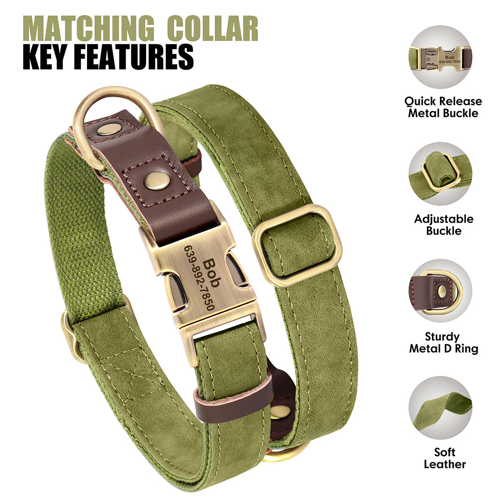Personalized moss green nylon and leather pet collar and leash set with custom name tag on a dog.