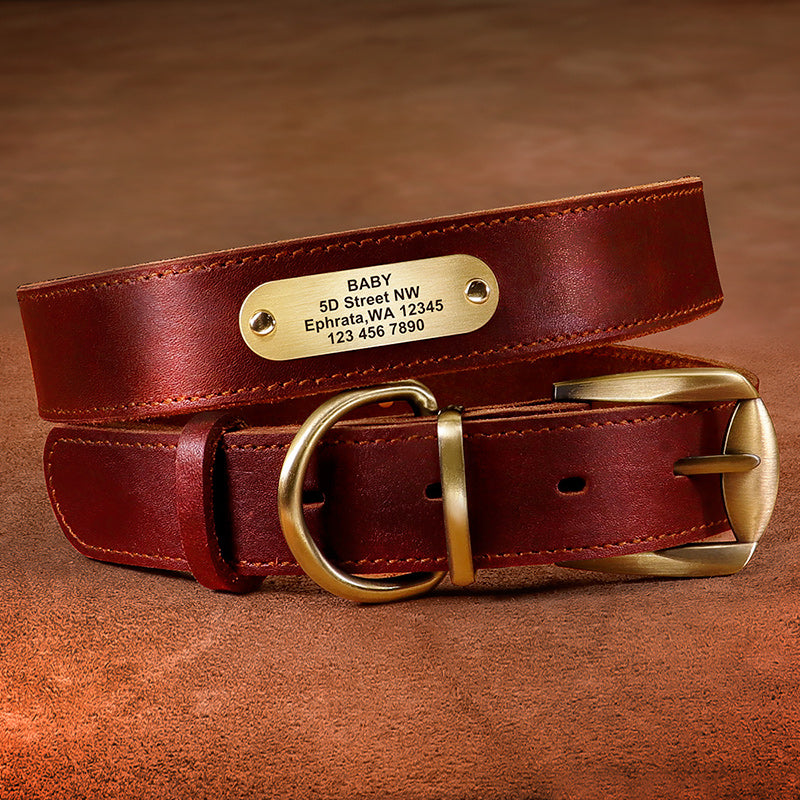 Personalized rustic brown genuine leather pet collar and leash set with engraved name tag for dogs, from Pet Panache Boutique.