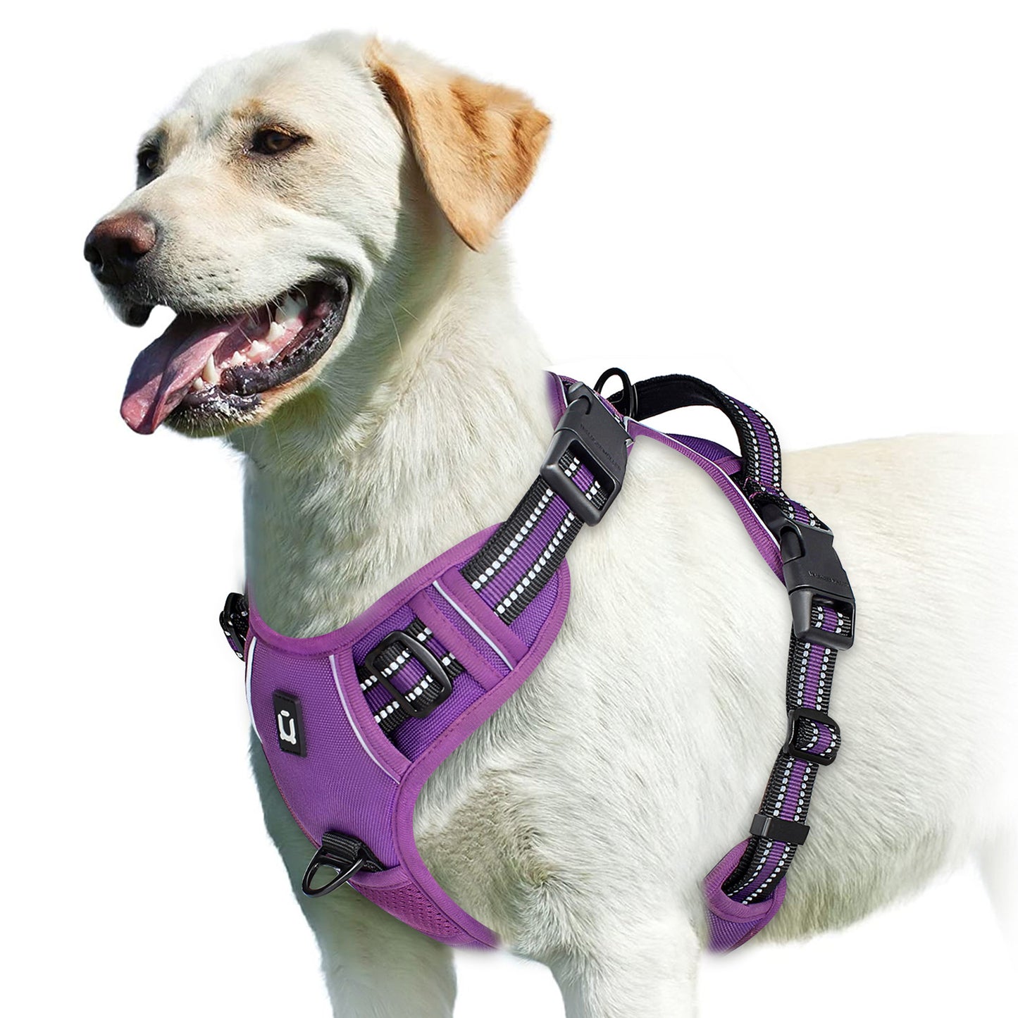 Purple Reflective No Pull or Choke Dog Harness