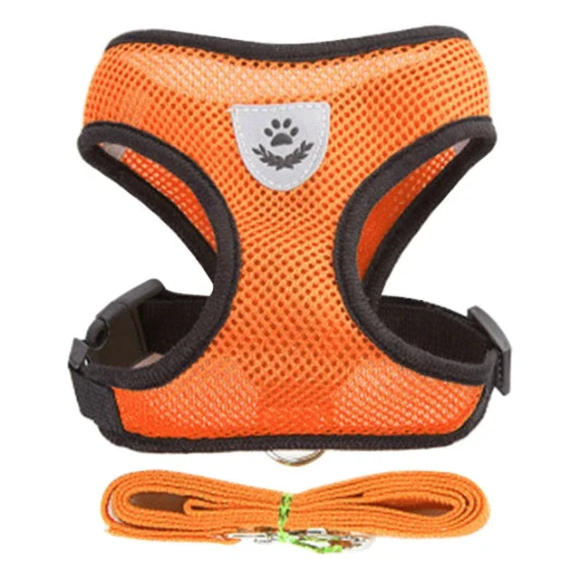 Orange breathable pet harness and matching leash set with paw emblem