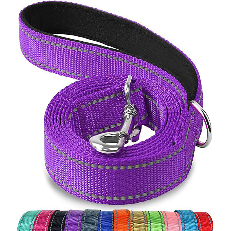 Vibrant purple multicolor pet nylon leash with metal clip and reflective stitching for durable, secure dog walking