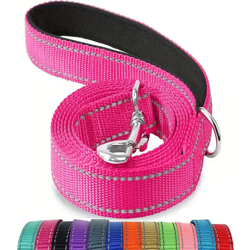 Multicolor pet nylon leashes in vibrant durable design with secure metal clasp