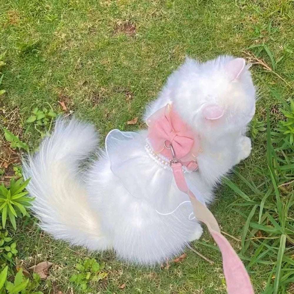 White fluffy cat wearing pink bow harness and leash set sitting on grass outdoors