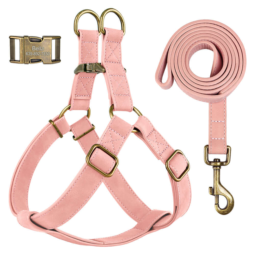 Ballet pink leather harness and leash set for dogs from Pet Panache Boutique, showcasing stylish design and quality craftsmanship.