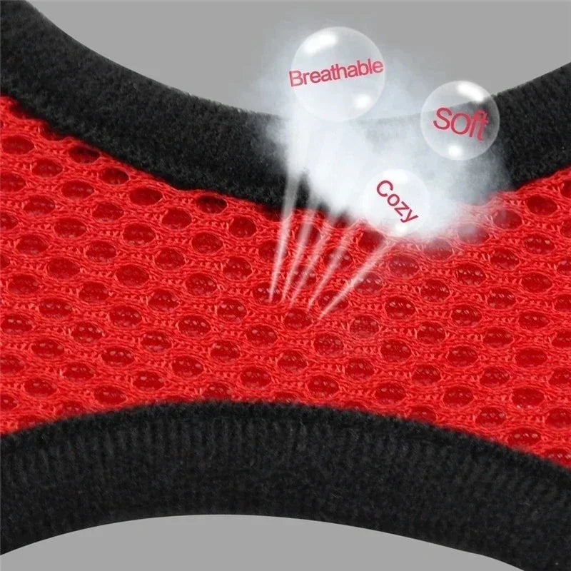 Pet Harness & Leash Set ; Multi Colors