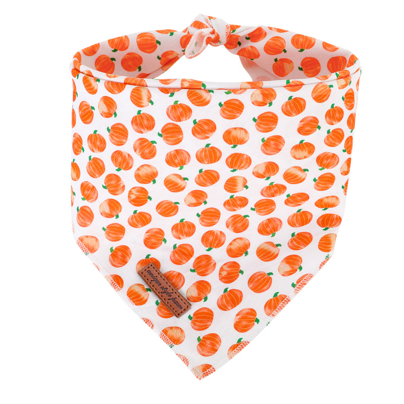 Pumpkin Patch Pet Bandanna - Pet Panache Boutique