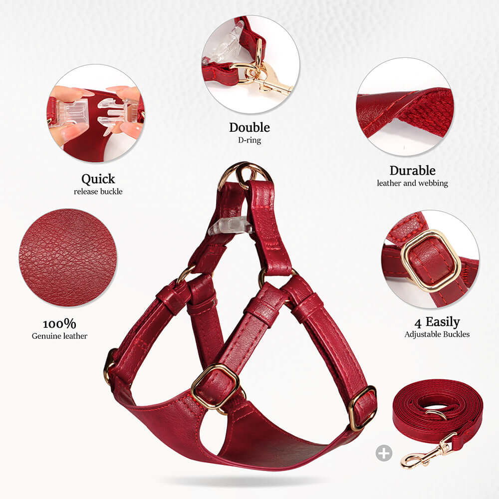 Crimson red leather pet harness and leash set from Pet Panache Boutique, showcasing stylish design and sturdy hardware.