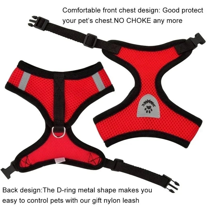 Pet Harness & Leash Set ; Multi Colors