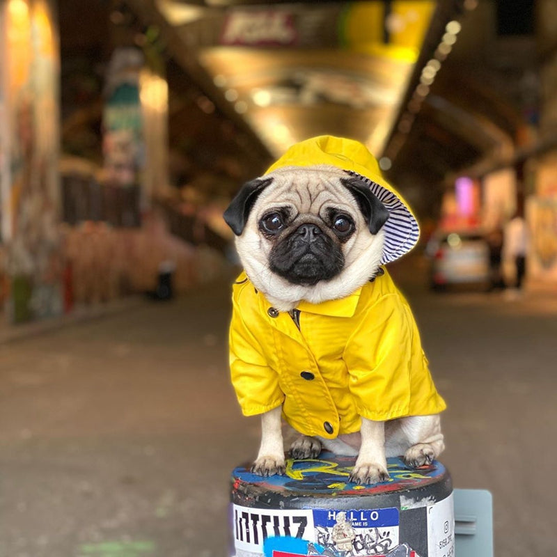Pet Raincoat - Pet Panache Boutique