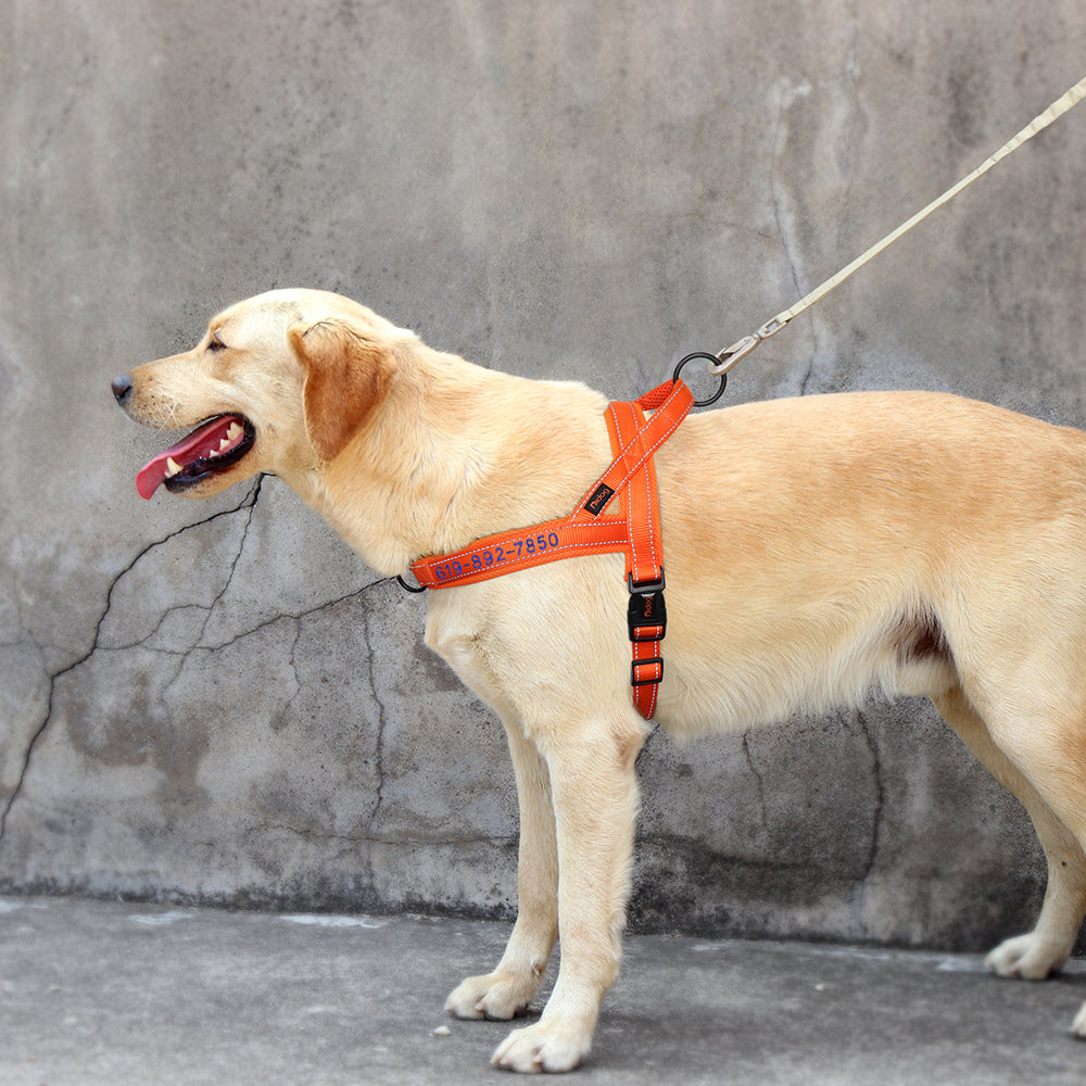 Reflective Personalized Pet Harness - Pet Panache Boutique