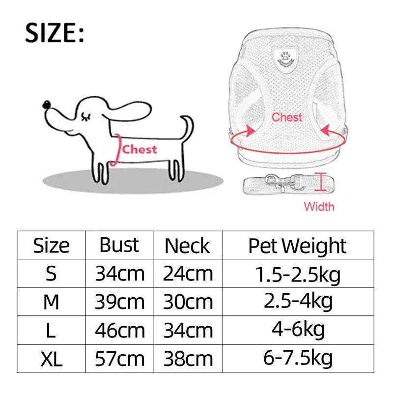Pet Harness & Leash Set ; Multi Colors