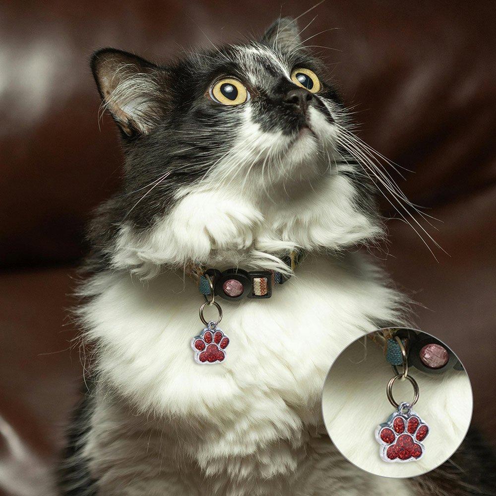 Black and white cat wearing a collar with a glitter paw print collar charm in red and silver colors