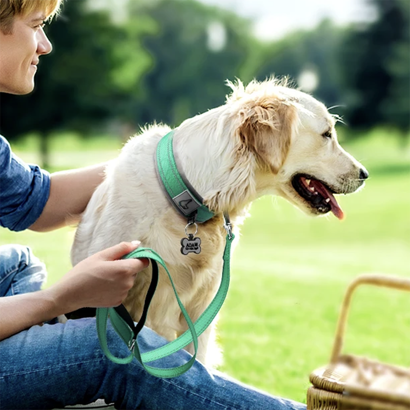 Reflective Padded Pet Collar - Pet Panache Boutique
