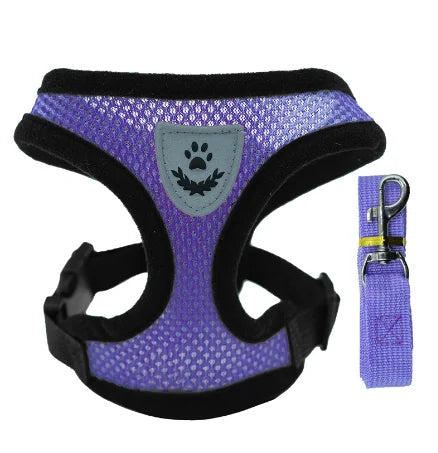 Durable purple pet harness and leash set with paw print detail
