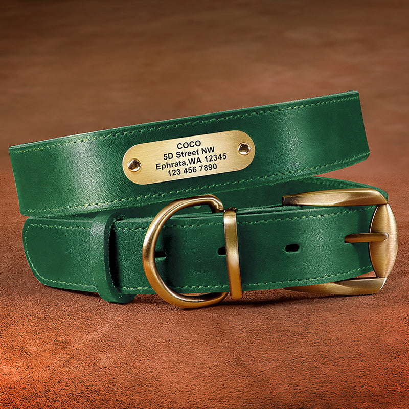 Personalized forest green genuine leather pet collar with engraved name tag, designed by Pet Panache Boutique.