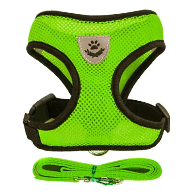 Pet Harness & Leash Set ; Multi Colors