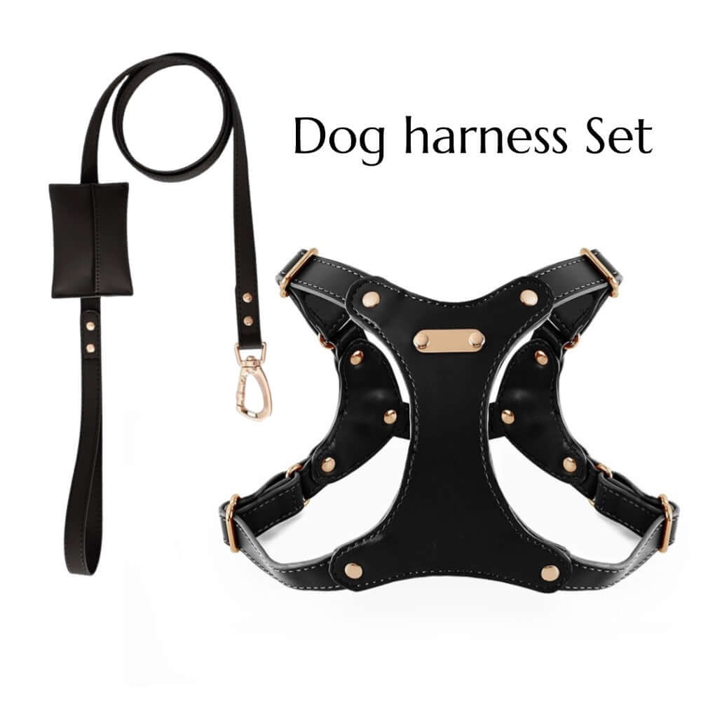 Black leather pet harness and leash set with gold studs, designed by Pet Panache Boutique for stylish pet walks.