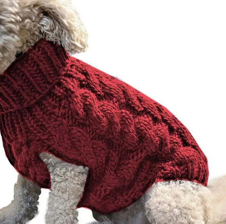 Small dog wearing a red cable knit pet sweater for warmth and style