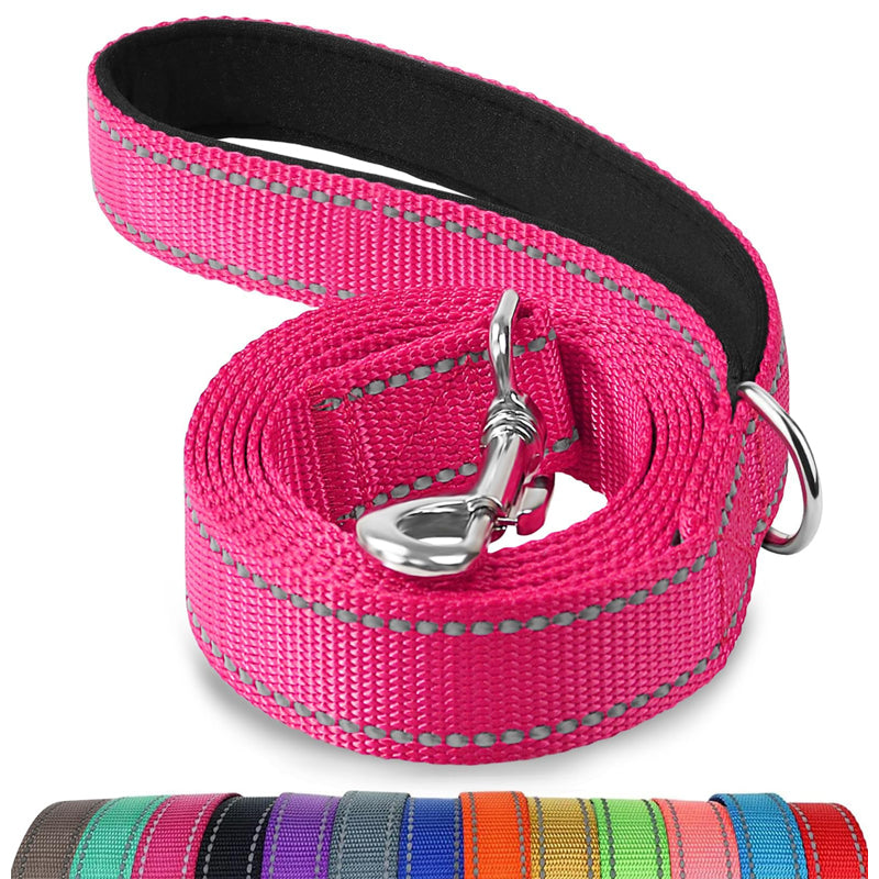Multicolor pet nylon leash with durable snap hook and reflective stitching