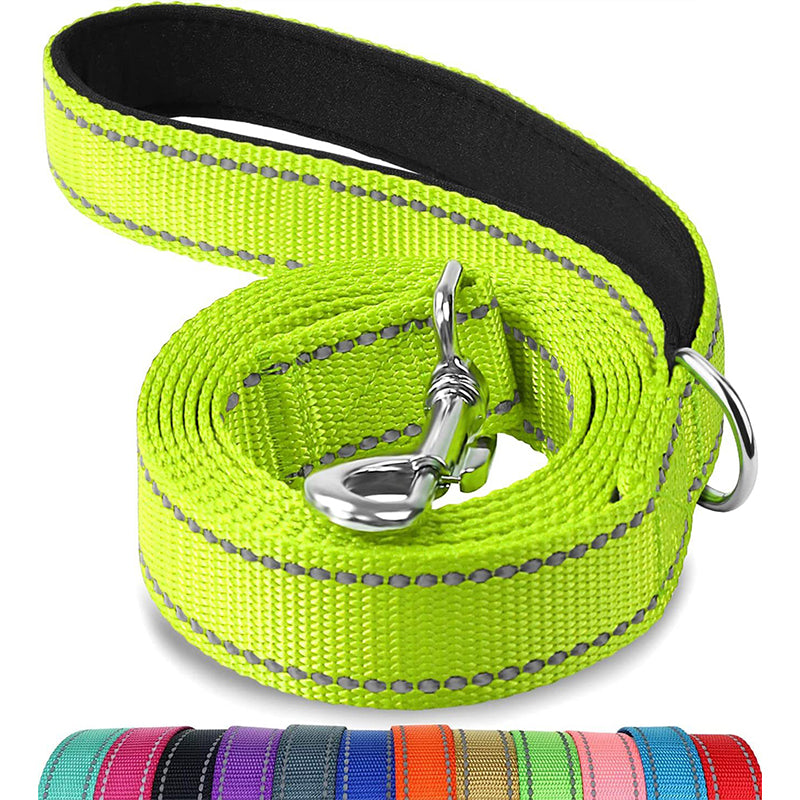 Bright multicolor pet nylon leash with durable metal clasp and comfortable handle for secure walks
