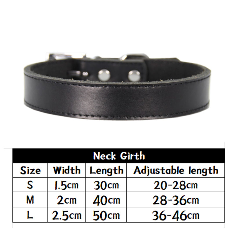 Black leather pet collar with silver buckle from Pet Panache Boutique, designed for dogs or cats, close-up view showing texture and hardware.