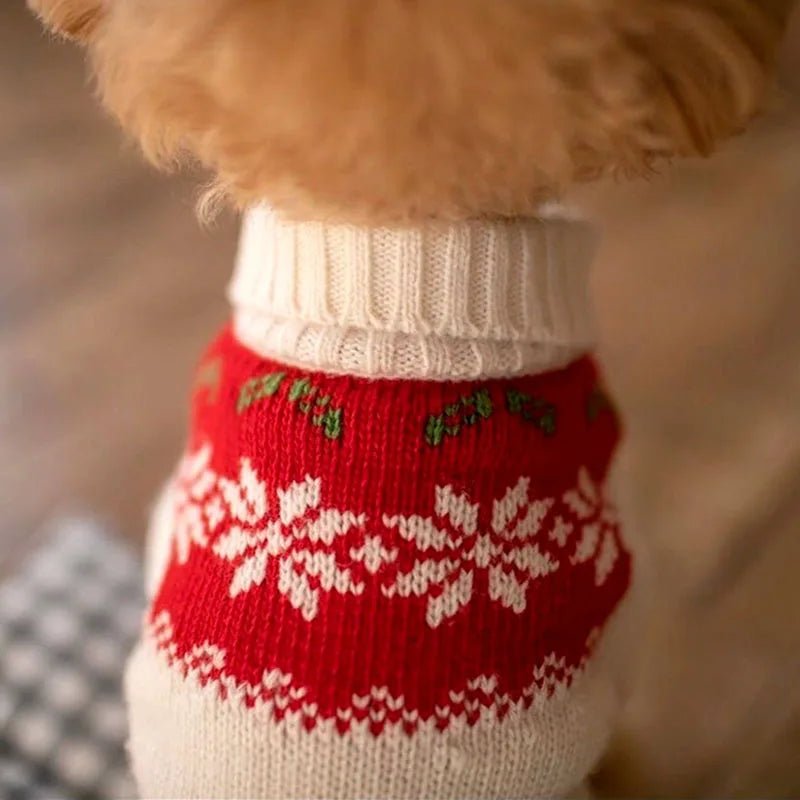 Christmas Poinsettia Pet Sweater - Pet Panache Boutique