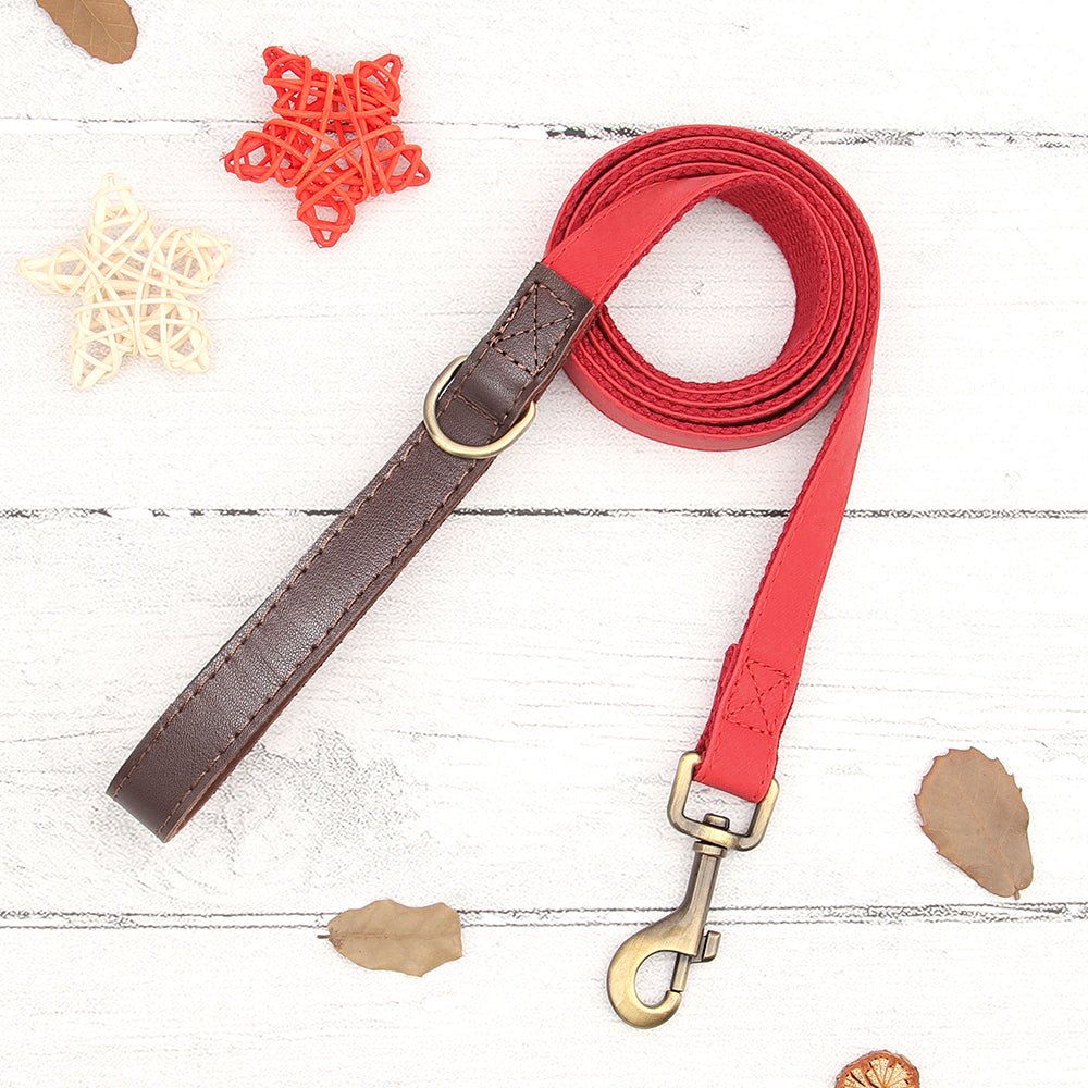 Perso alized Burnt Orange Nylon/Leather Pet Collaer & Leash Set - Pet Panache Boutique