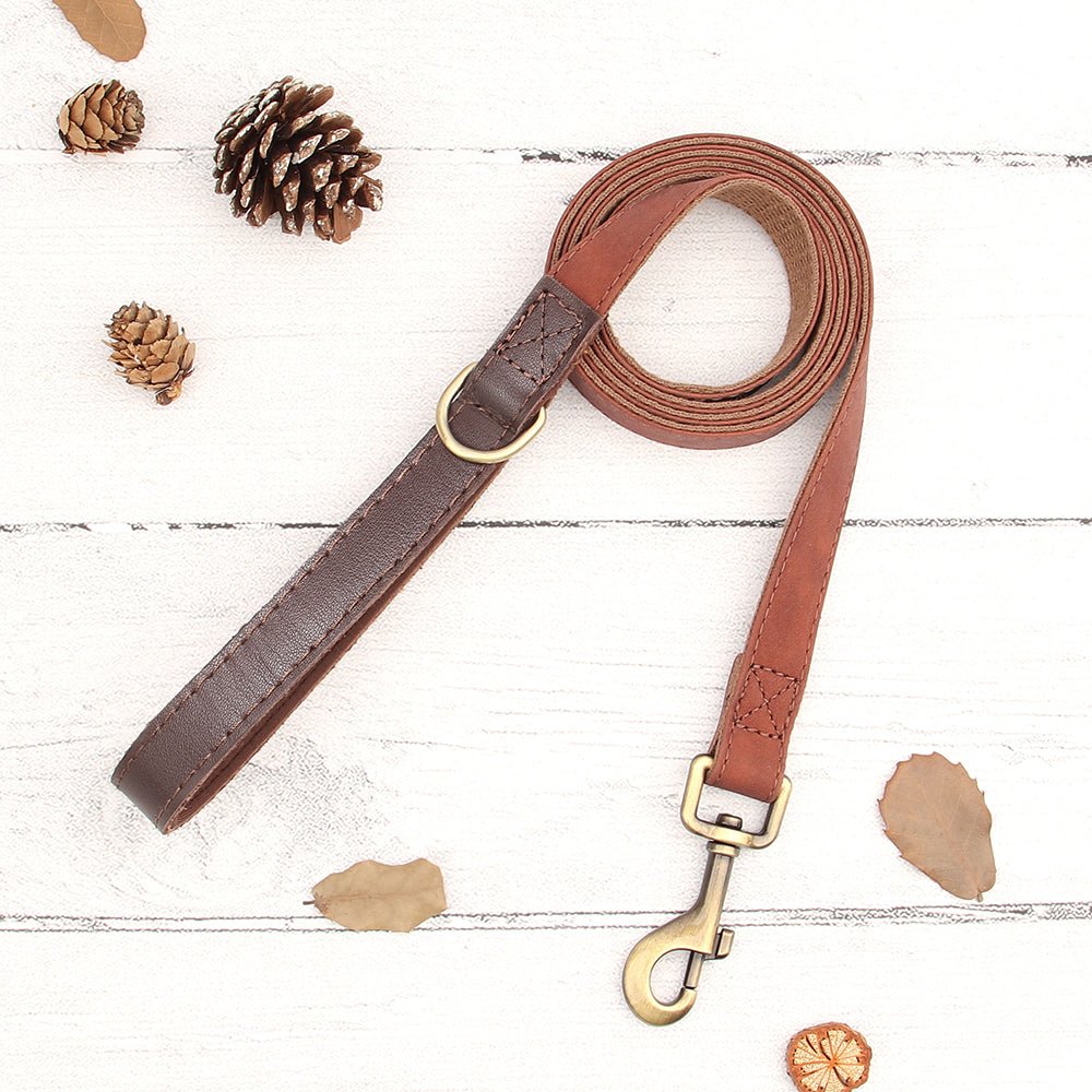 Personalized Brown Nylon/Leather Pet Collar & Leash Set - Pet Panache Boutique
