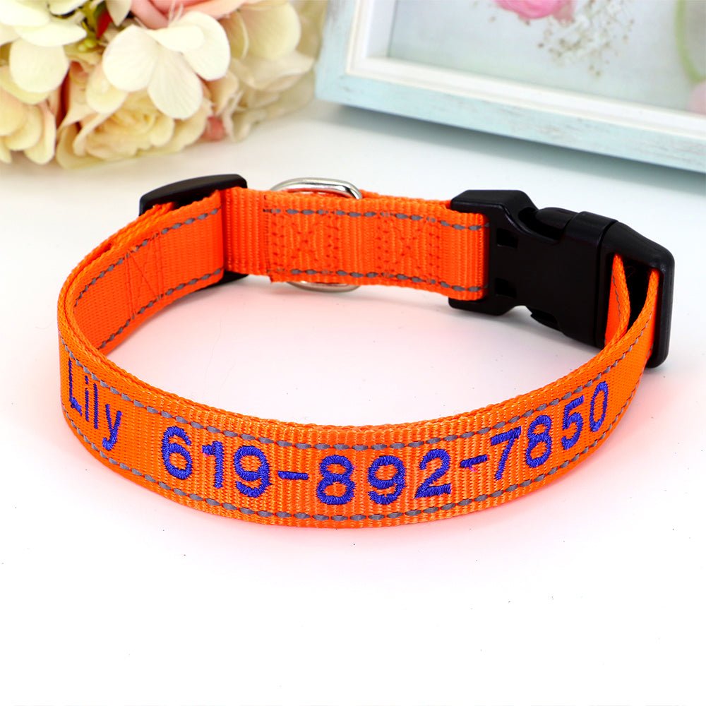 Personalized Orange Crush Nylon Pet Collar - Pet Panache Boutique