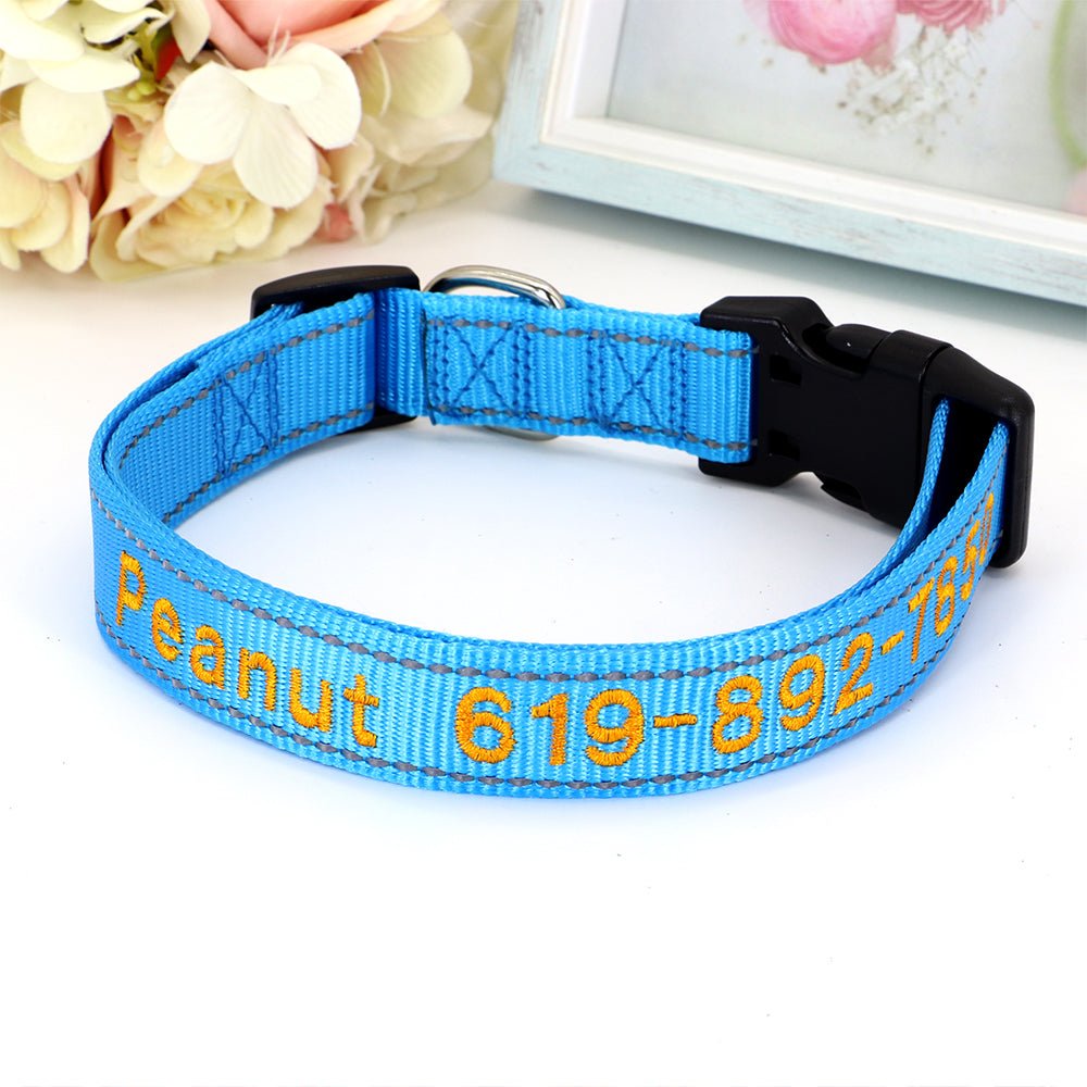 Personalized Sky Blue Pet Collar - Pet Panache Boutique