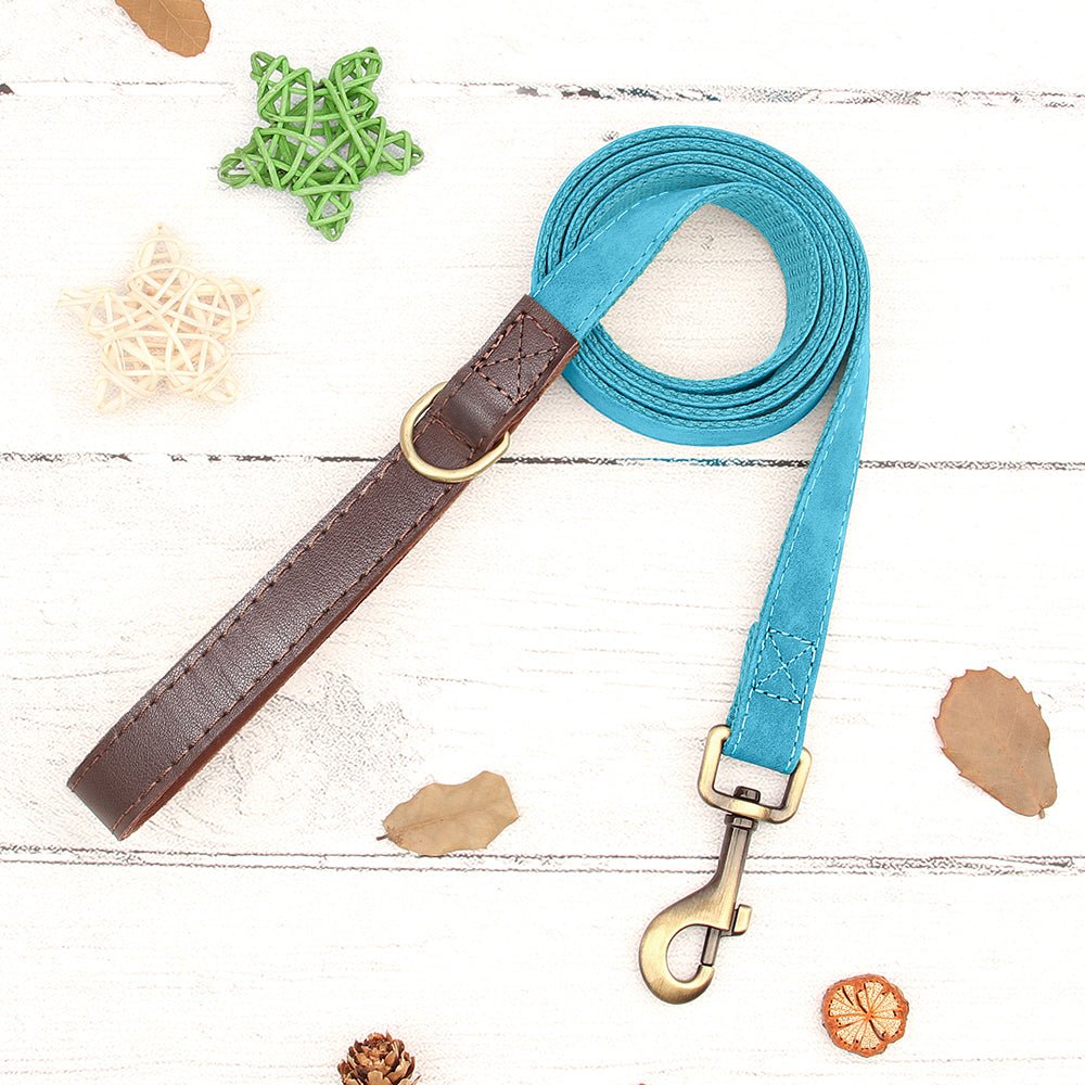 Personalized Turquoise Nylon/Leather Pet Collar & Leash Set - Pet Panache Boutique