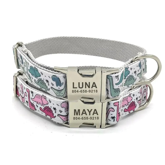 Personalized Pink or Blue Dinosaur Pet Collar & Leash Set - Pet Panache Boutique