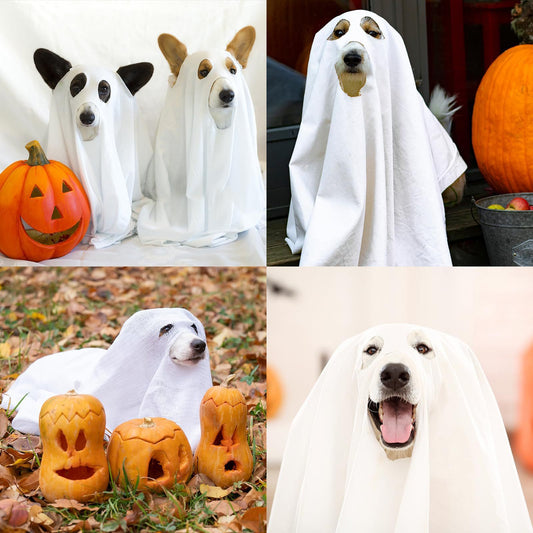 Ghost Pet Costume - Pet Panache Boutique