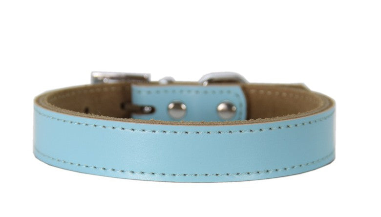 Blue leather pet collar from Pet Panache Boutique, showing a close-up of the stylish, durable collar with metal buckle and stitching.