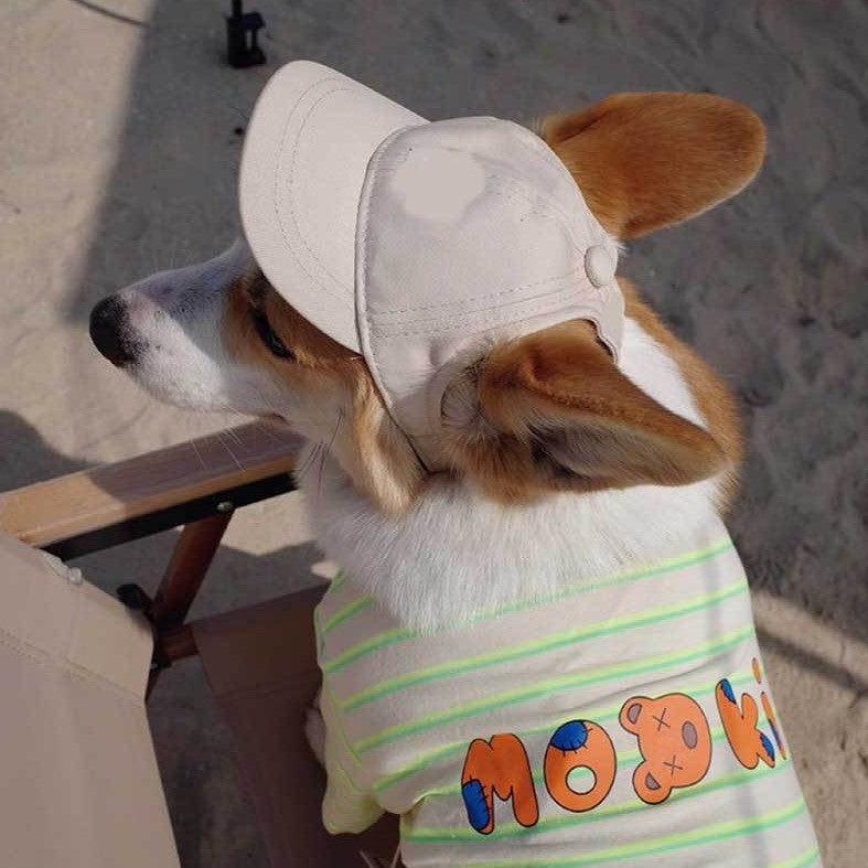 Personalized Pet Hats