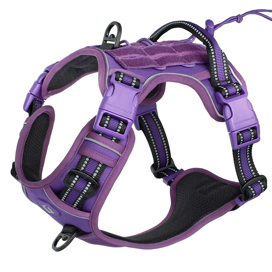 Purple Reflective No-Pull Pet Harness - Pet Panache Boutique