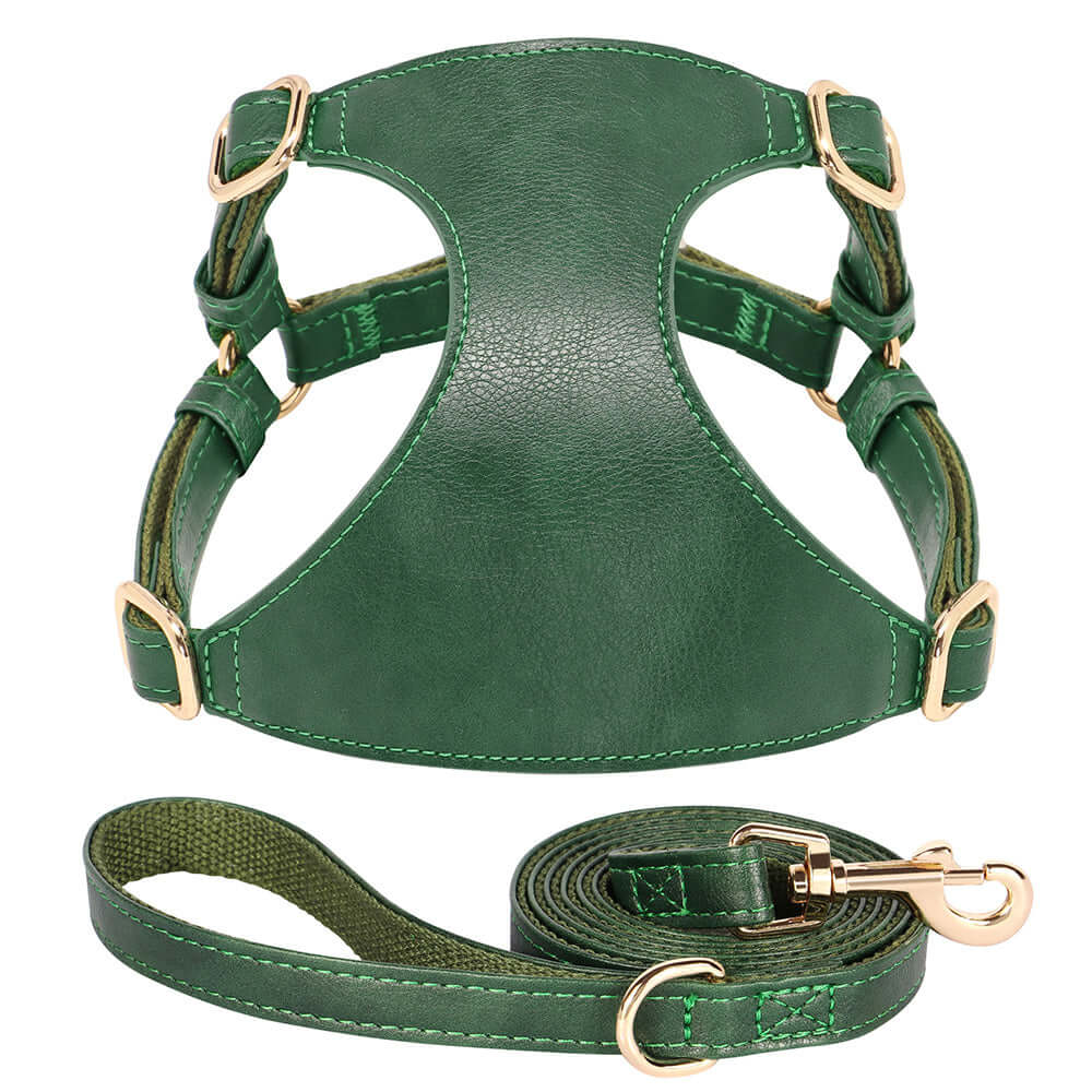 Turquoise blue leather pet harness and leash set from Pet Panache Boutique, showcasing stylish design and durable materials.