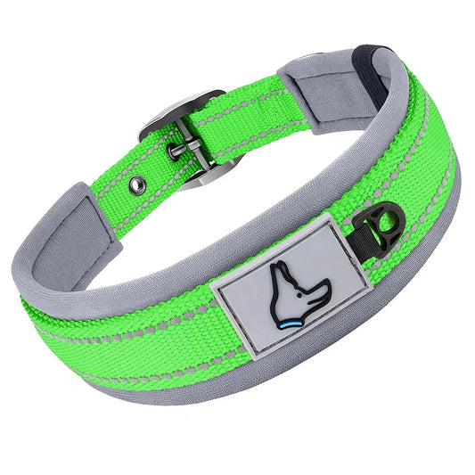 Teal green reflective pet collar with adjustable nylon strap and safety buckle