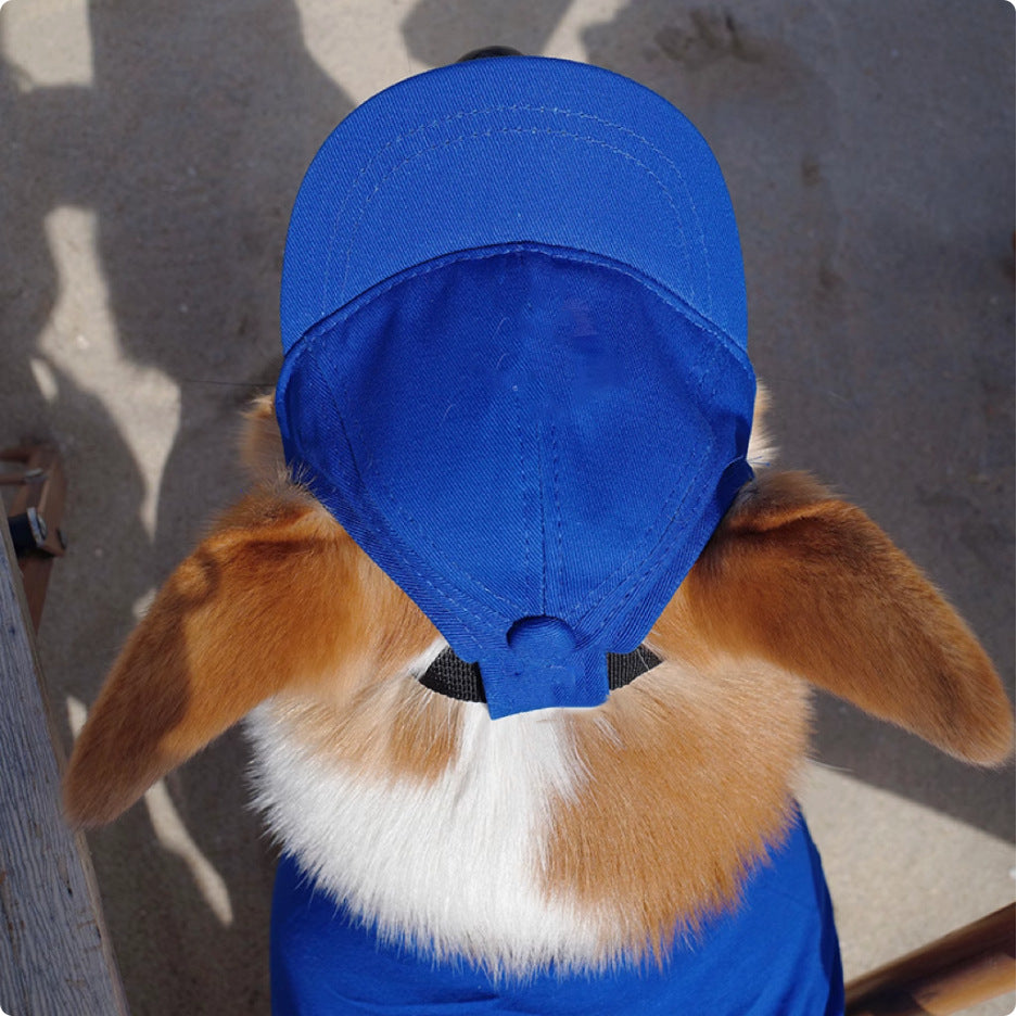 Personalized Pet Hats
