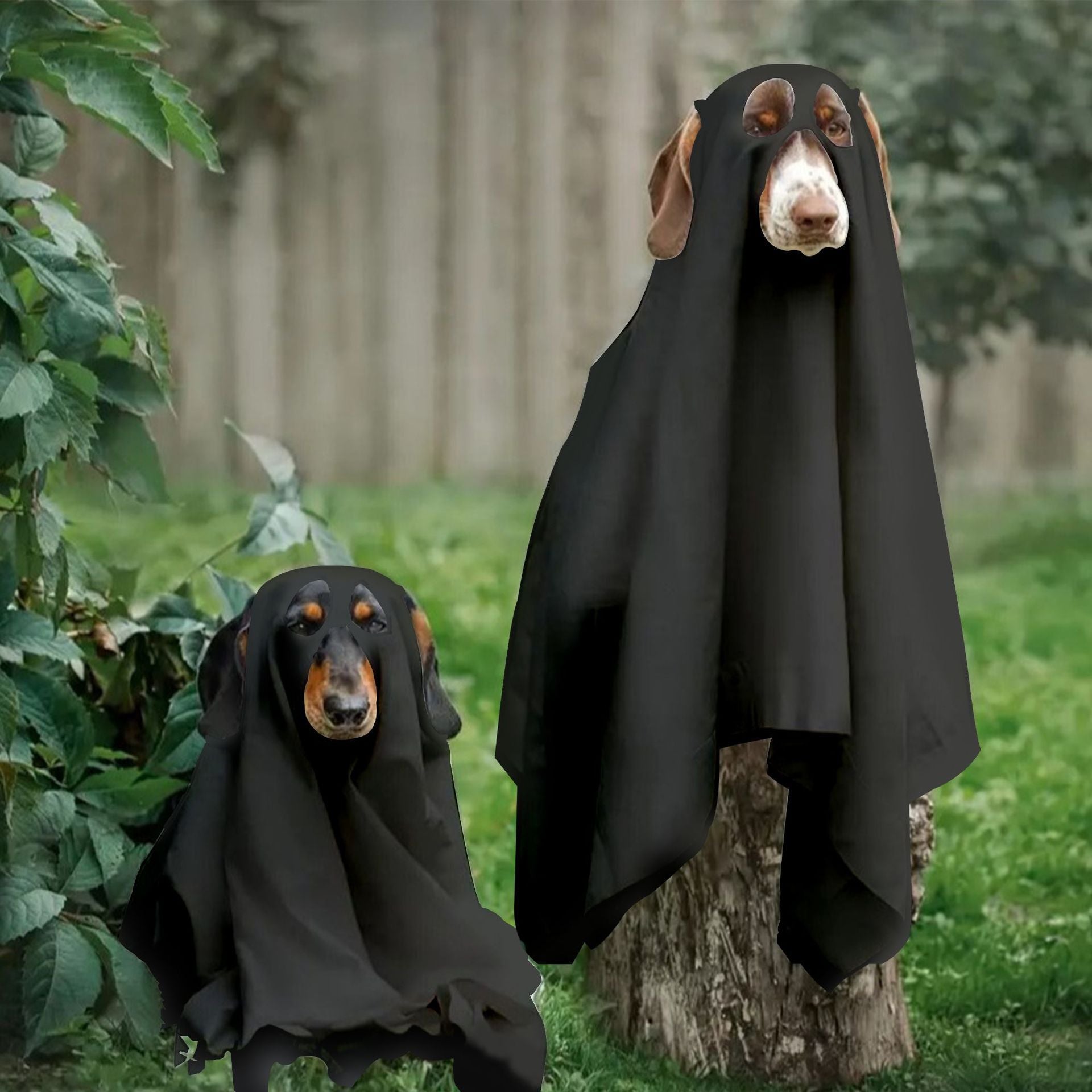 Ghost Pet Costume - Pet Panache Boutique