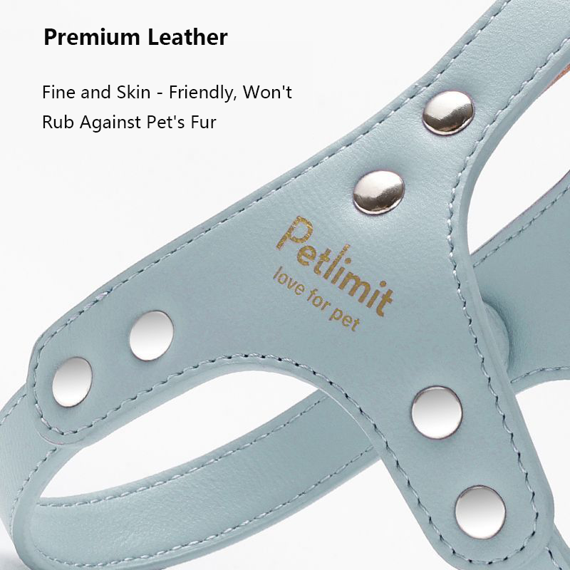 Blue genuine leather pet harness from Pet Panache Boutique, featuring adjustable straps and sturdy metal hardware for pets.